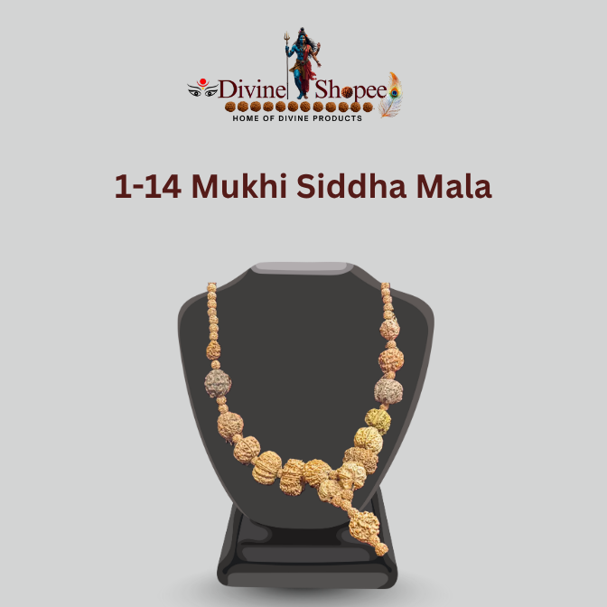 1-14 Mukhi Siddha Mala