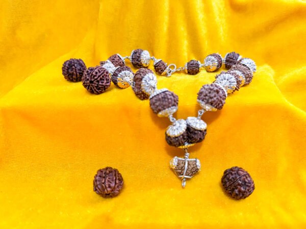 1-14 Mukhi Rudraksha Bracelet with Silver Caping (WYSIWYG)