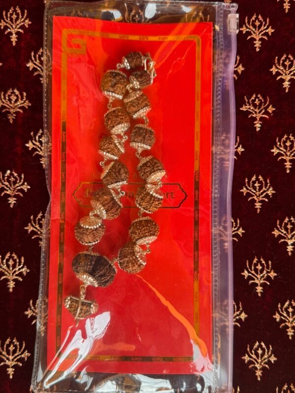 1-14 Mukhi Rudraksha Bracelet with Silver Caping (WYSIWYG) - Image 2