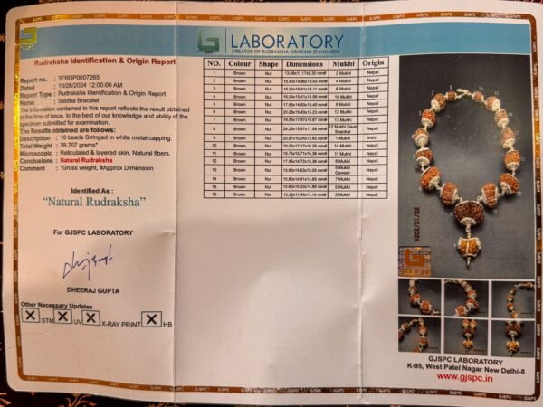 1-14 Mukhi Rudraksha Bracelet with Silver Caping (WYSIWYG) - Image 3