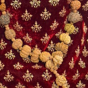 1-14 Mukhi Sidh Malla (WYSIWYG)