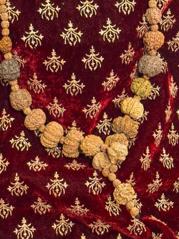 1-14 Mukhi Sidh Malla (WYSIWYG)