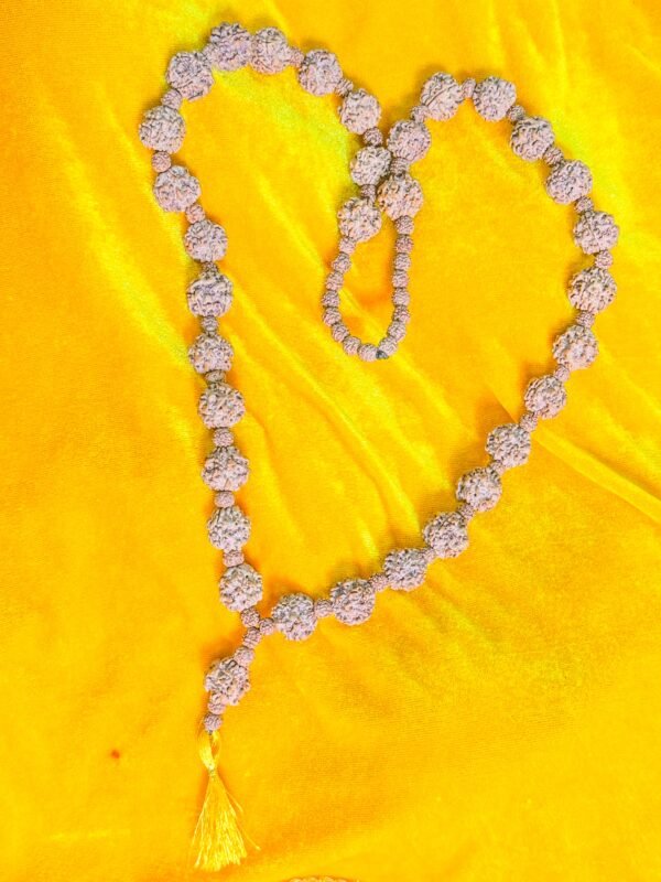 1 Mukhi 33 Beads Rudraksha Kantha (WYSIWYG) - Super Effective