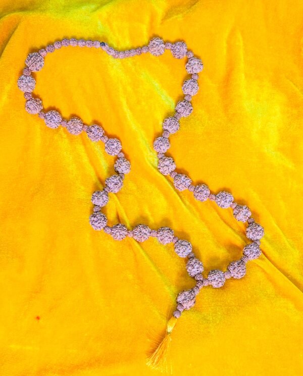 1 Mukhi 33 Beads Rudraksha Kantha (WYSIWYG) - Super Effective - Image 2