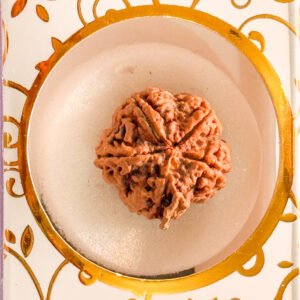 4 Mukhi Ganesh Rudraksha(WYSIWYG)