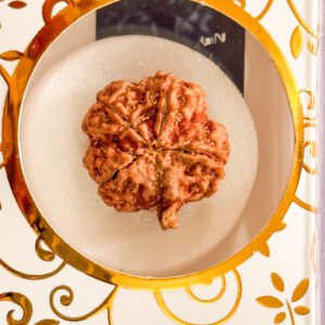 5 Mukhi Ganesh Rudraksha(WYSIWYG)