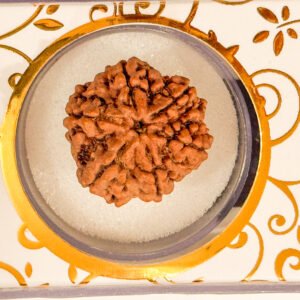 6 Mukhi Rudraksha(WYSIWYG)