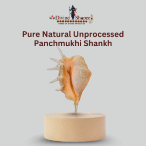 Pure Natural Unprocessed Panchmukhi Shankh