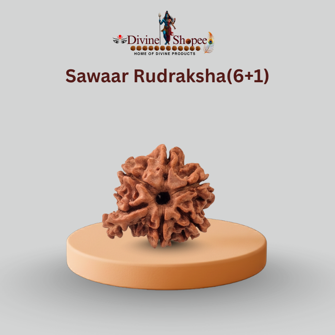 Sawaar Rudraksha(6+1)