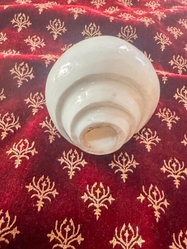 Natural Blowing Shankh
