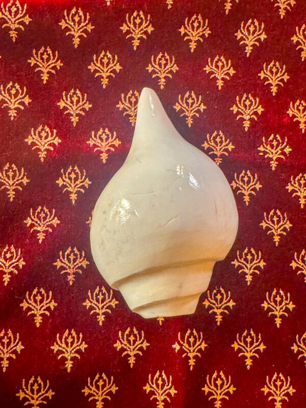 Natural Blowing Shankh - Image 4