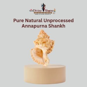 Annanpurna shankh