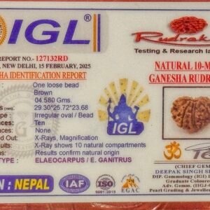 10 Mukhi Ganesh Rudraksha(WYSIWYG)
