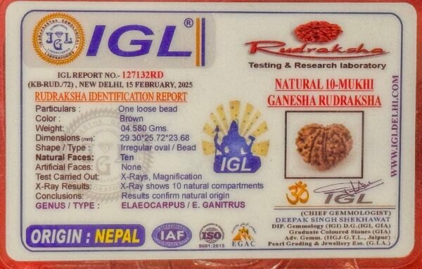 10 Mukhi Ganesh Rudraksha(WYSIWYG)