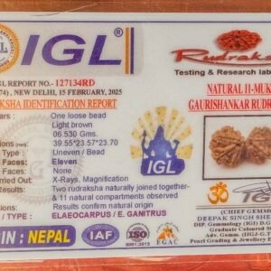 11 Mukhi Gauri Shankar Rudraksha(WYSIWYG)