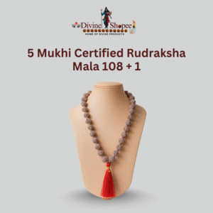 5 Mukhi Certified Rudraksha Mala