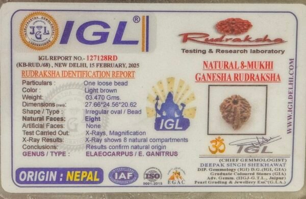 8 Mukhi Ganesh Rudraksha (WYSIWYG)