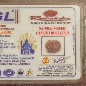9 Mukhi Ganesh Rudraksha (WYSIWYG)