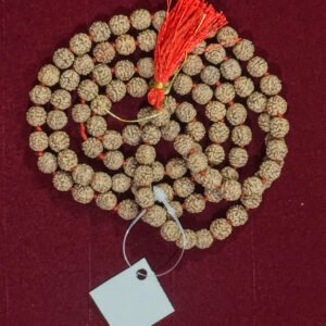 5 Mukhi Rudraksha Certified Mala 108 +1