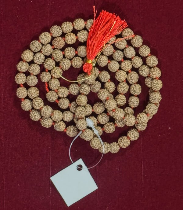 5 Mukhi Rudraksha Certified Mala 108 +1
