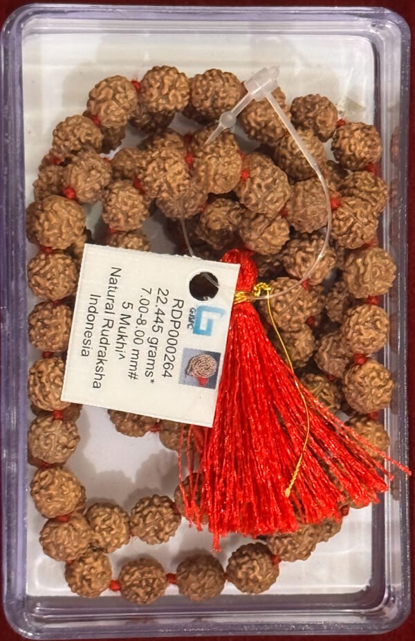 5 Mukhi Rudraksha Certified Mala 108 +1 - Image 2