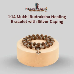 1-14 Mukhi Rudraksha Healing Bracelet with Silver Caping