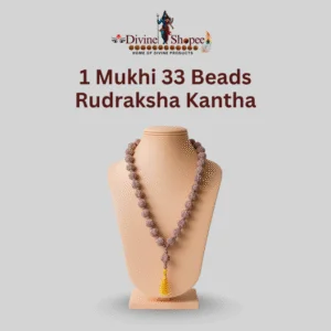1 Mukhi 33 Beads Rudraksha Kantha