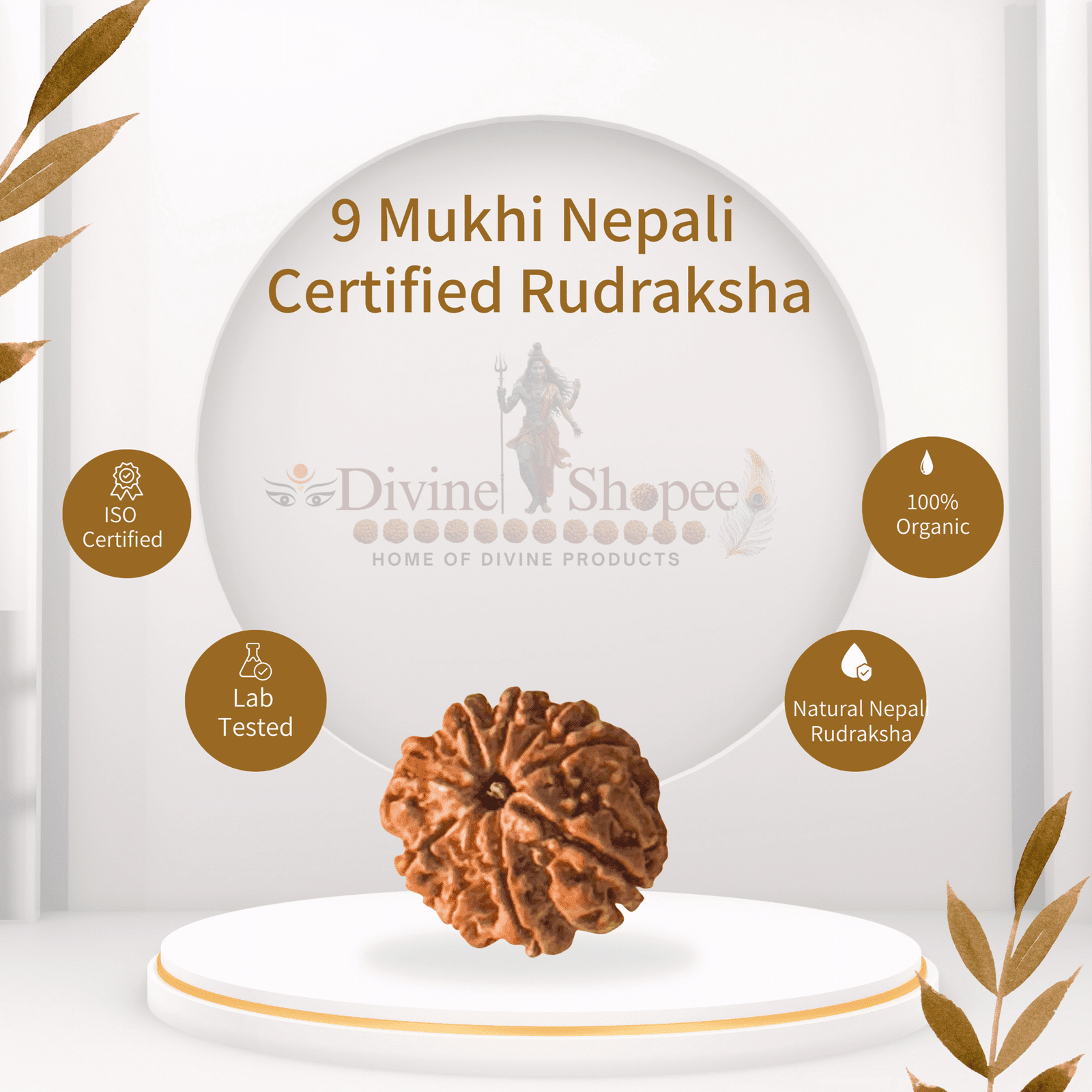9 mukhi Rudraksha