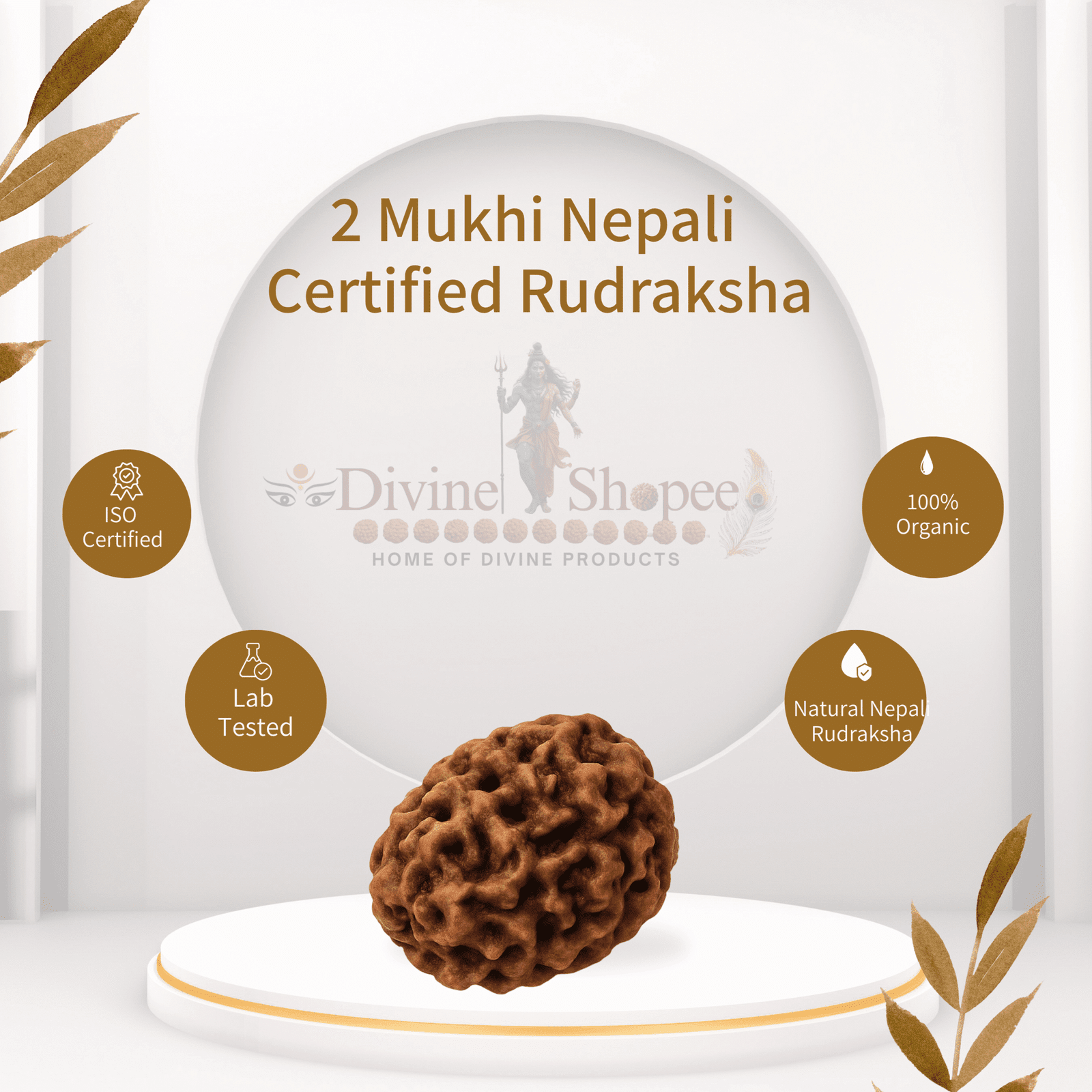 2 Mukhi Product